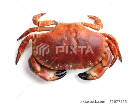 Beautiful cut out crab cake Beautiful cut out crab cake 75677355