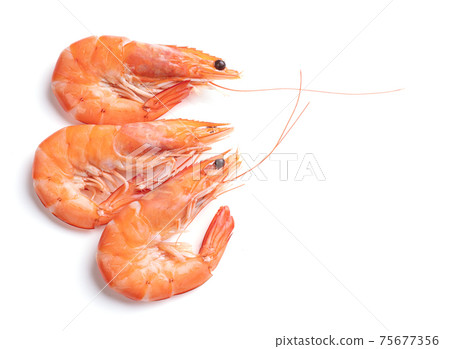 Three shrimps cut out Three shrimps cut out 75677356