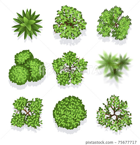 Top view different plants and trees set for architectural or landscape design Top view different plants and trees set for architectural or landscape design 75677717