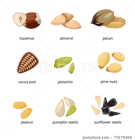 Seeds and nuts icons in cartoon style Seeds and nuts icons in cartoon style 75679469
