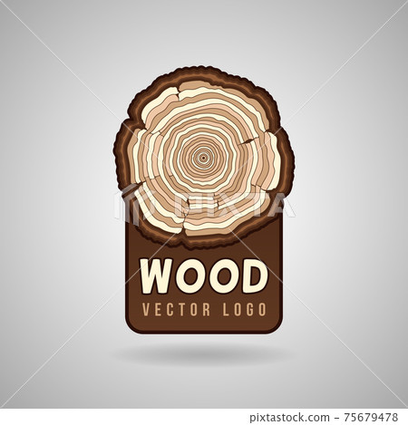 Annual tree growth rings, trunk cross section hipster logo template 75679478