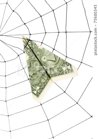 Spider Web and dollar 75680345