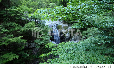 Fresh green beautiful waterfall 75683441