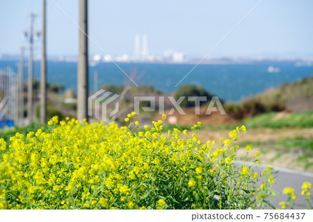 [三川灣]下山嚮大海 75684437