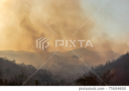 Forest fire smoke in northern Thailand. 75684608