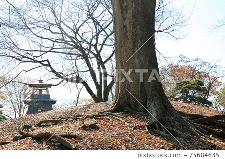 Numata城堡 Numata城堡 75684635