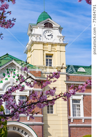 Ushiku Chateau and Sakura (March, Ushiku City, Ibaraki Prefecture) 75684791