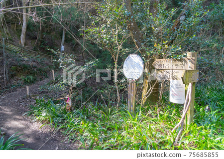 人參峰遠足路線的起點 人參峰遠足路線的起點 75685855