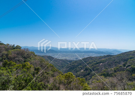 從鋼塔路線（雲山坡遠足路線）的山路上看到的風景 75685870