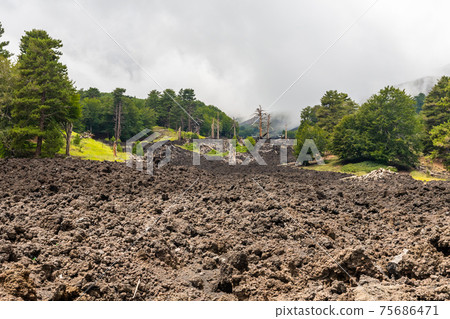 Mount Etna volcanic landscape and its typical vegetation, Sicily 75686471