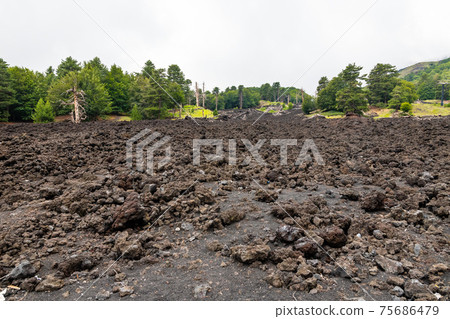 Mount Etna volcanic landscape and its typical vegetation, Sicily Mount Etna volcanic landscape and its typical vegetation, Sicily 75686479