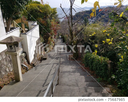 It is a stone pavement leading to the coast of Atami. It is a great strolling spot where you can feel the atmosphere and the Showa retro style. It is a stone pavement leading to the coast of Atami. It is a great strolling spot where you can feel the atmosphere and the Showa retro style. 75687985