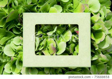 Creative layout made of leaves with White frame. Top view. Nature concept. 75688658