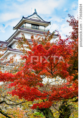 Tsuruga Castle Tower and Autumn Leaves, Aizuwakamatsu City, Fukushima Prefecture Tsuruga Castle Tower and Autumn Leaves, Aizuwakamatsu City, Fukushima Prefecture 75688684