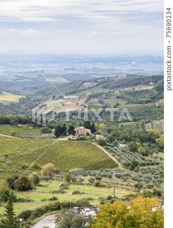 Top view of the Chianti valley in autumn from the town Castellina Di Chianti, Tuscany, Italy 75690134