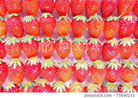 Strawberry, strawberry, strawberry, strawberry Strawberry, strawberry, strawberry, strawberry 75690251