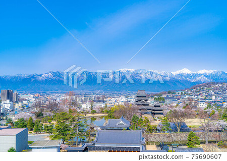 春天的松本城，市區和北阿爾卑斯山[長野縣] 75690607