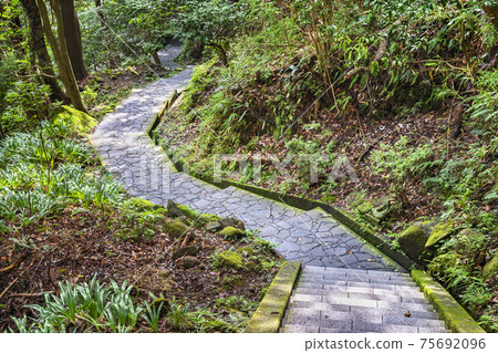 [千葉縣野吉里山]一條長滿青苔的石梯，通向野吉里山採石場日本寺大佛的大佛。 75692096
