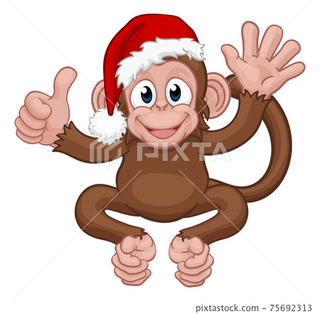 monkey with santa hat