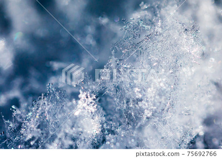 雪花 75692766