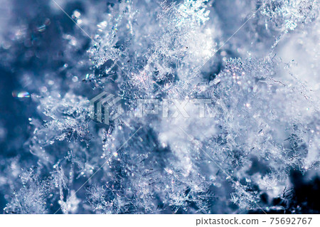 Crystal of snow	 75692767