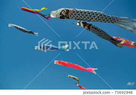 Carp streamer Carp streamer 75692946
