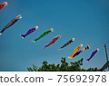 Carp streamer 75692978