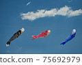 Carp streamer 75692979