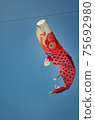 Carp streamer 75692980