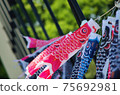 Carp streamer 75692981