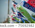 Carp streamer 75692982