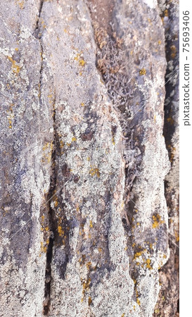 textured stone background embossed surface. textured surface of natural stone. invoice 75693406