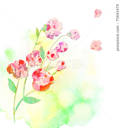 bouquet bouquet 75693479