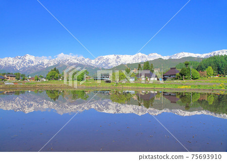 Hakuba May Sunny Northern Alps Hakuba May Sunny Northern Alps 75693910