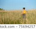 Beautiful woman in yellow shirt and long skirrt standing elegant in beige wheat field. Back view, bright blue sky 75694257
