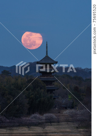 Okayama Prefecture Bitchū Kokubunji Moonrise 75695520