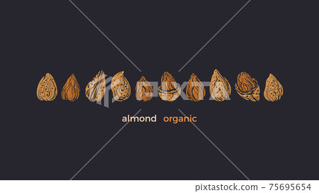 Almond nuts bio set. Vector texture shape isolated Almond nuts bio set. Vector texture shape isolated 75695654