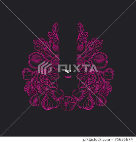 Fig ornate pattern. Vector branch, fruit. Vintage Fig ornate pattern. Vector branch, fruit. Vintage 75695674