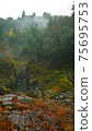 Beautiful scenery of waterfall at Kikuchi Keikoku after raining with light fog, Kumamoto, Japan 75695753