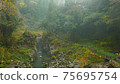 Beautiful scenery of waterfall at Kikuchi Keikoku after raining with light fog, Kumamoto, Japan 75695754