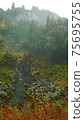 Beautiful scenery of waterfall at Kikuchi Keikoku after raining with light fog, Kumamoto, Japan 75695755