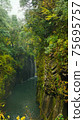 Beautiful scenery of waterfall at Kikuchi Keikoku after raining with light fog, Kumamoto, Japan 75695757