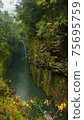 Beautiful scenery of waterfall at Kikuchi Keikoku after raining with light fog, Kumamoto, Japan 75695759