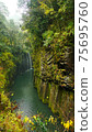 Beautiful scenery of waterfall at Kikuchi Keikoku after raining with light fog, Kumamoto, Japan 75695760
