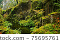 Beautiful scenery of waterfall at Kikuchi Keikoku after raining with light fog, Kumamoto, Japan 75695761
