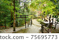 Beautiful scenery of waterfall at Kikuchi Keikoku after raining with light fog, Kumamoto, Japan 75695773