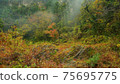 Beautiful scenery of waterfall at Kikuchi Keikoku after raining with light fog, Kumamoto, Japan 75695775