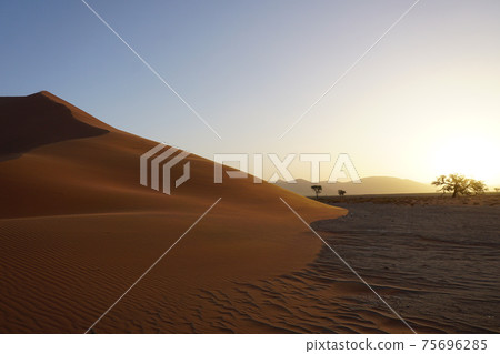 The red dunes of sossusvlei national park during sunset. 75696285