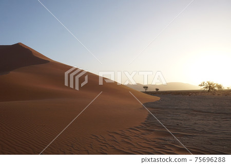 The red dunes of sossusvlei national park during sunset. 75696288