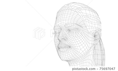 Wireframe portrait of a young beautiful girl Wireframe portrait of a young beautiful girl 75697047